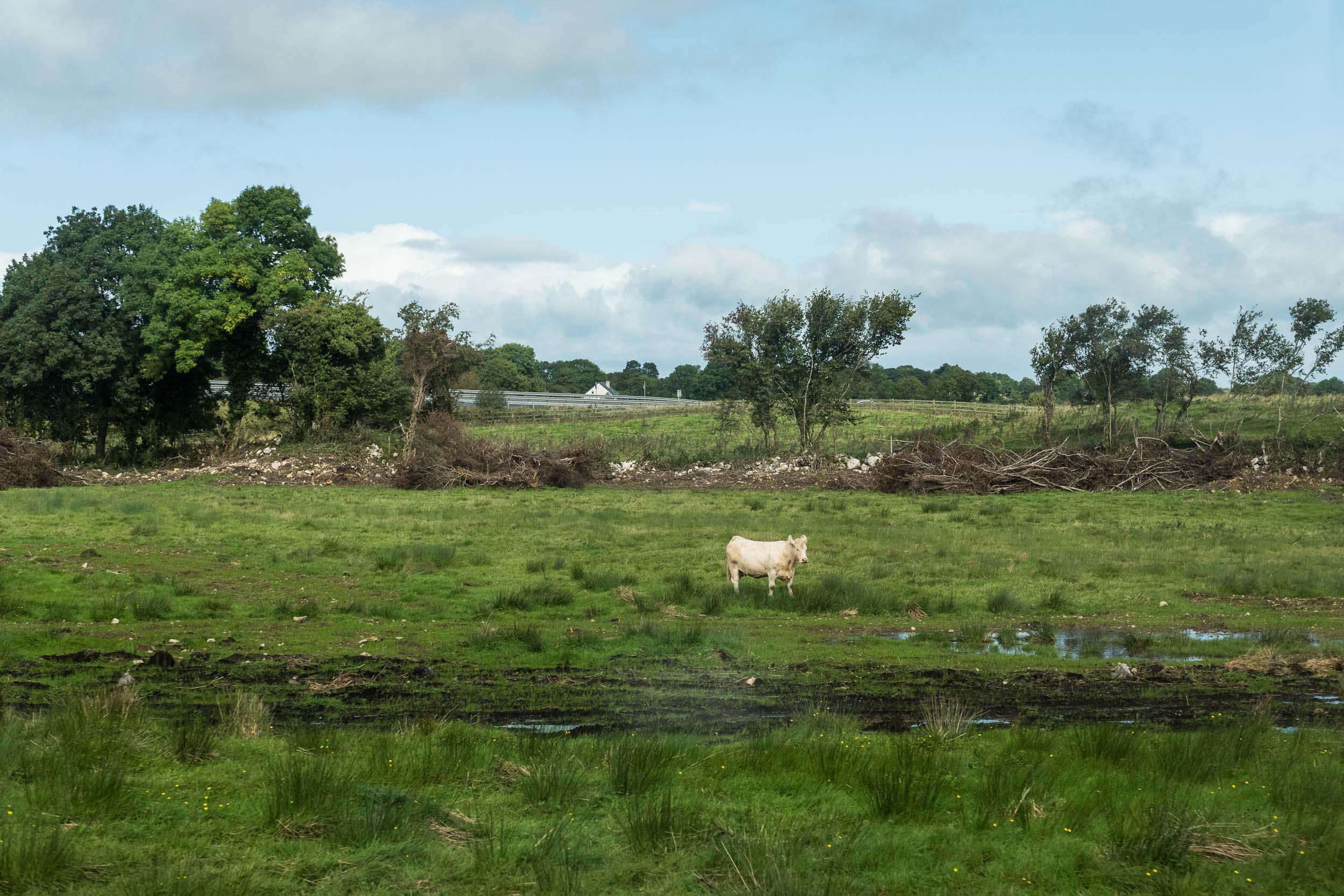 017_Ireland170909-081